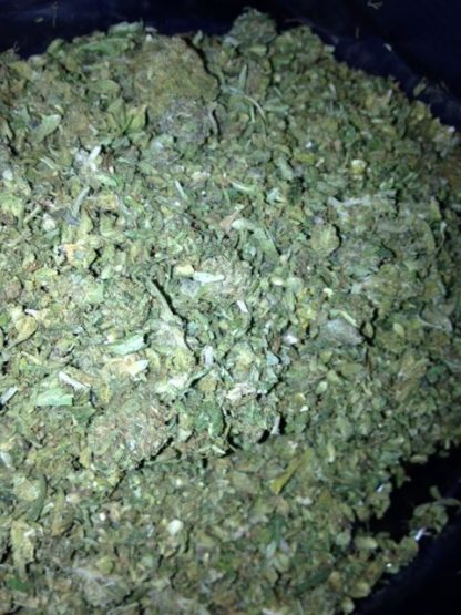 Premium Shake- 14g $50- $90oz